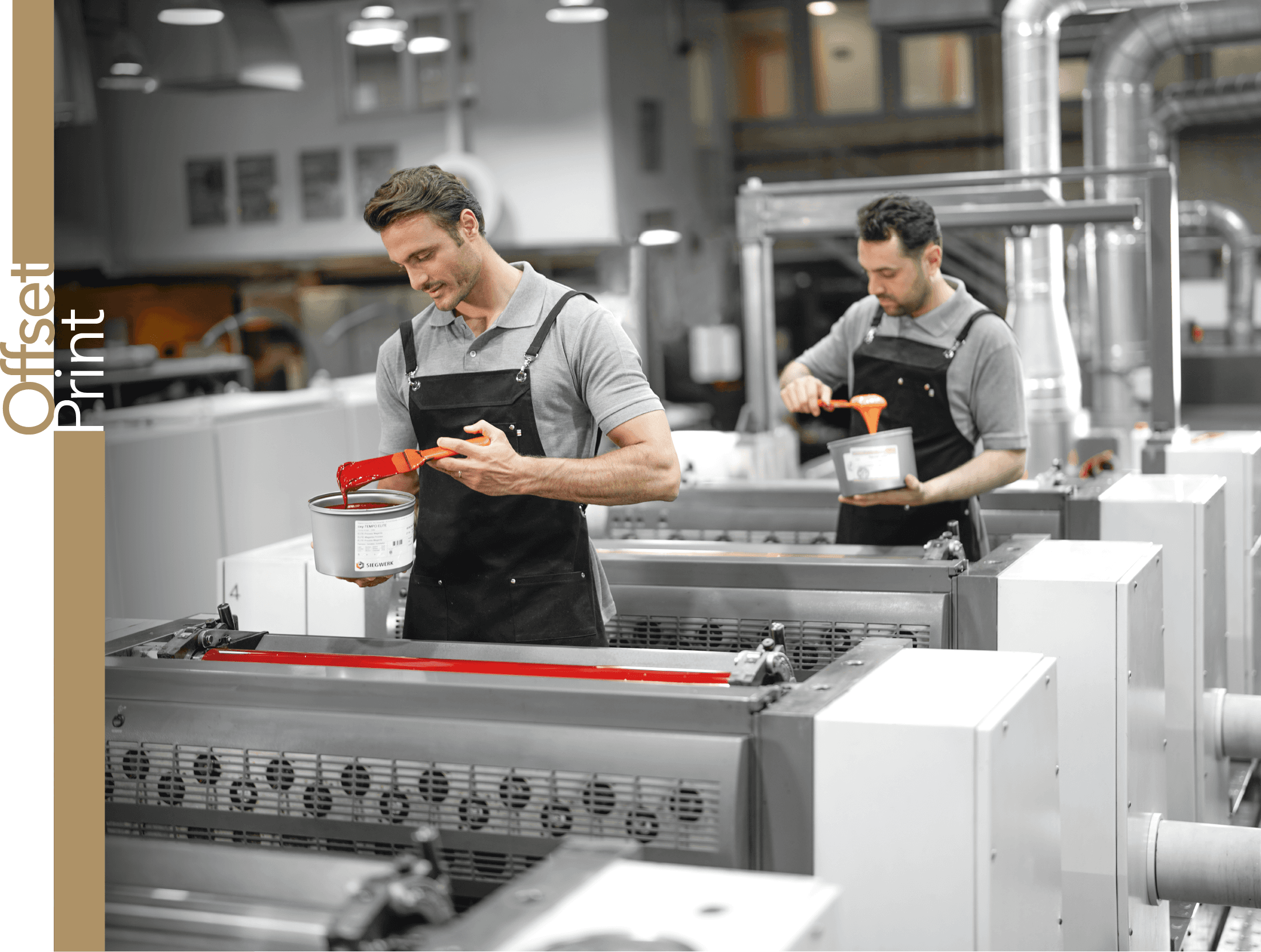 Reproduction workspace