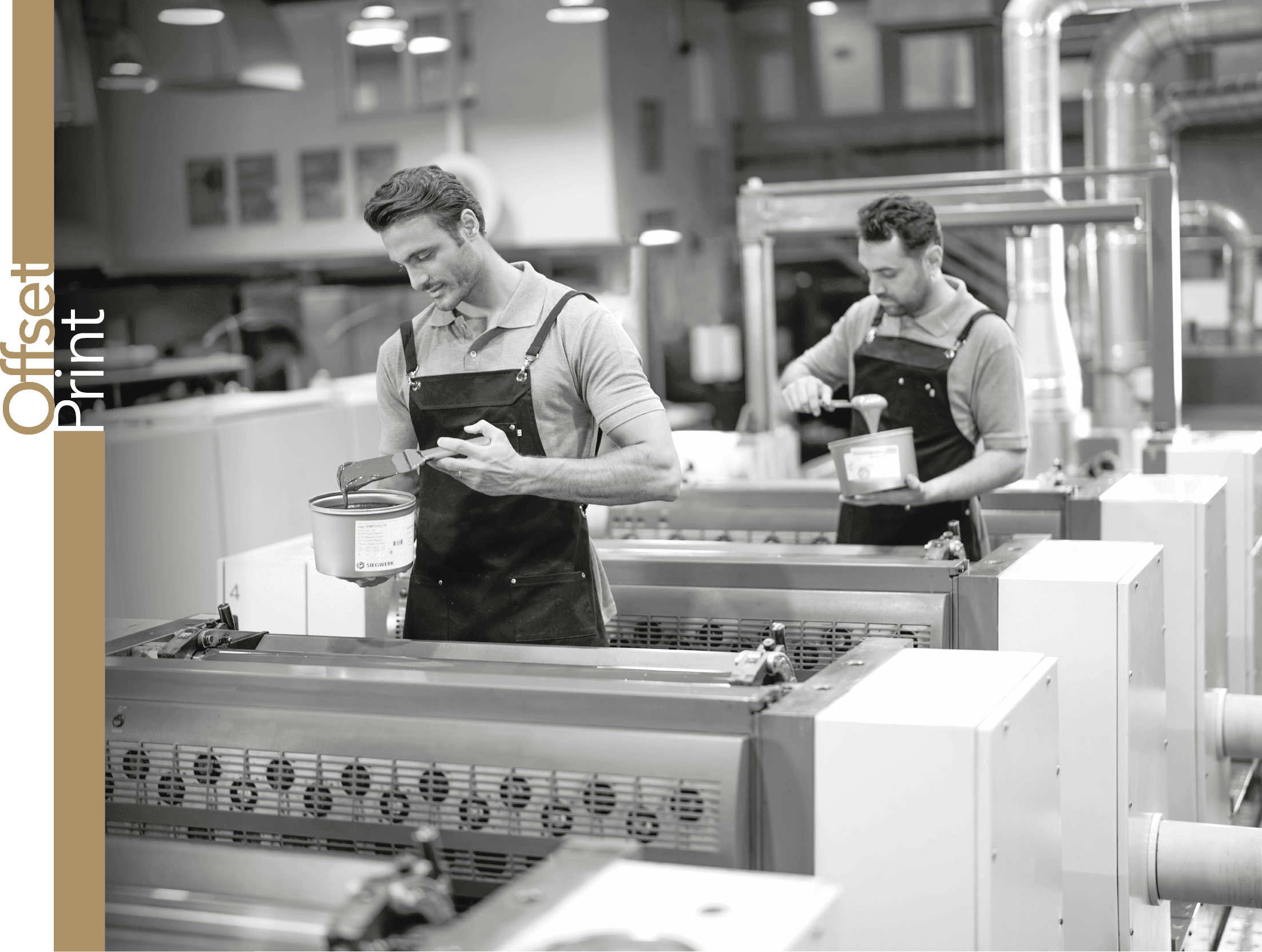 Reproduction workspace