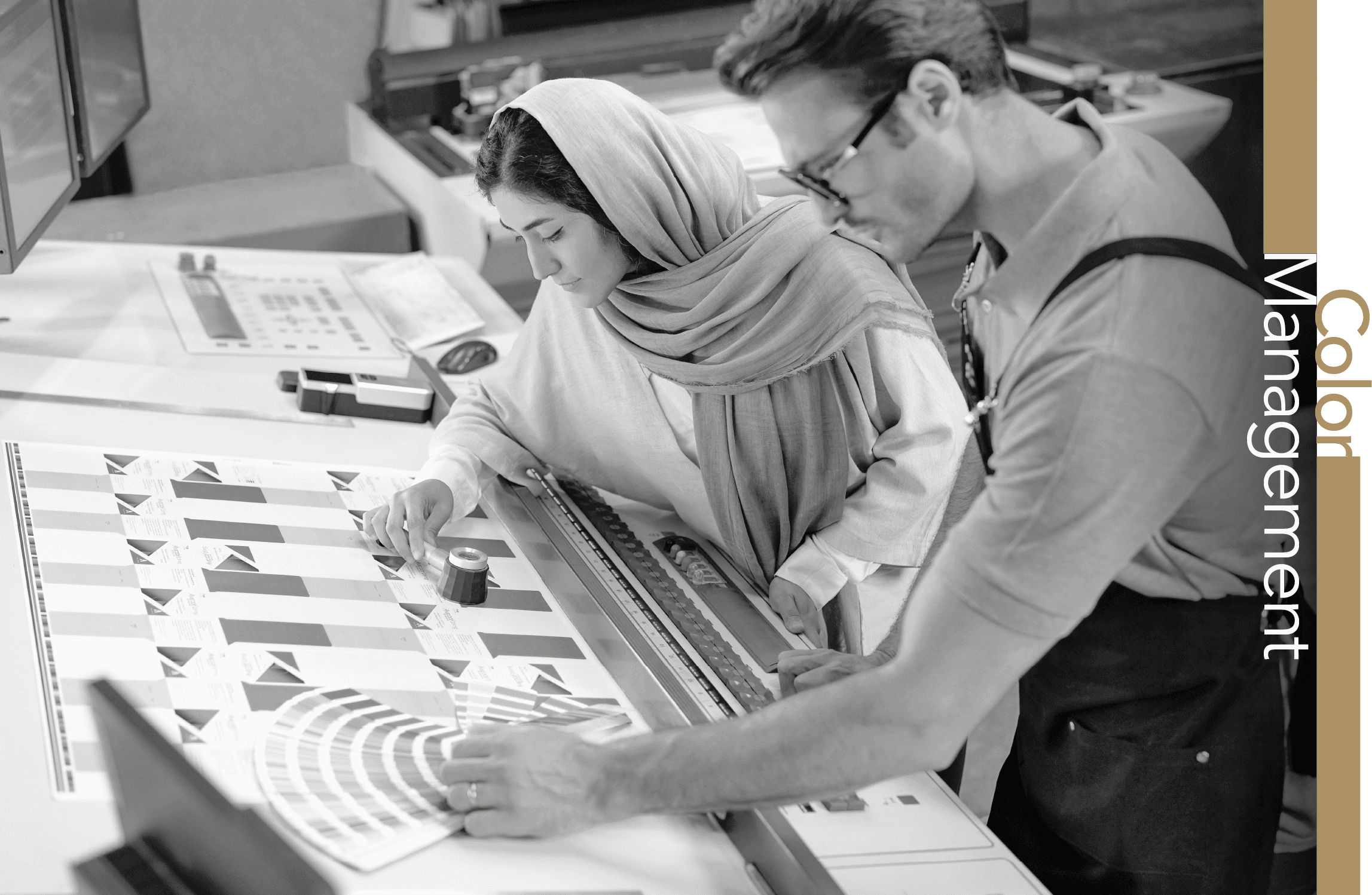 Reproduction workspace