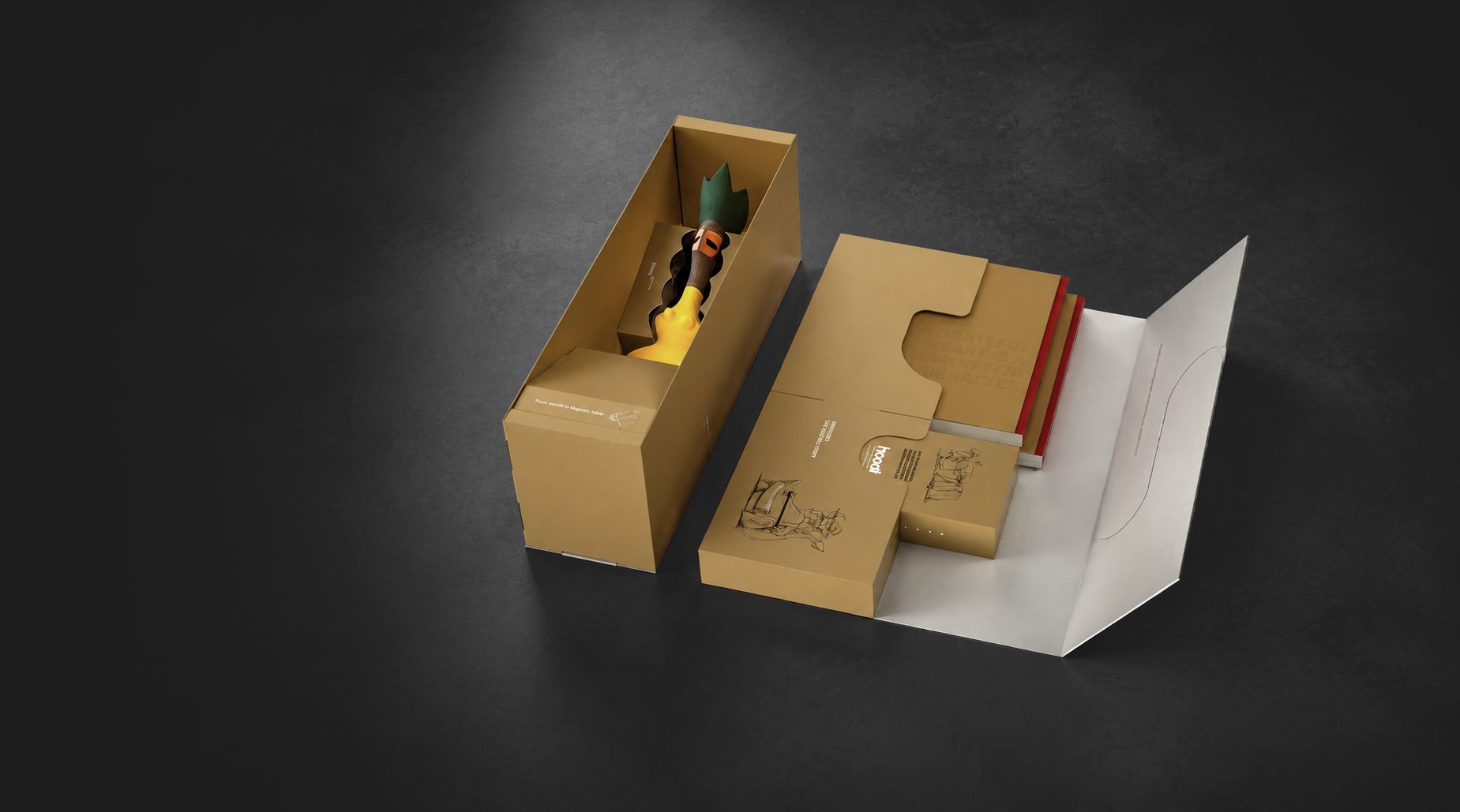 Hoodis packaging